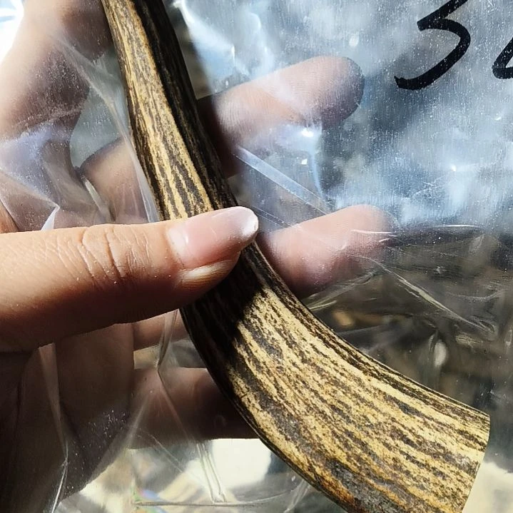 禁***区非金属无鹿角鹿角鹿角