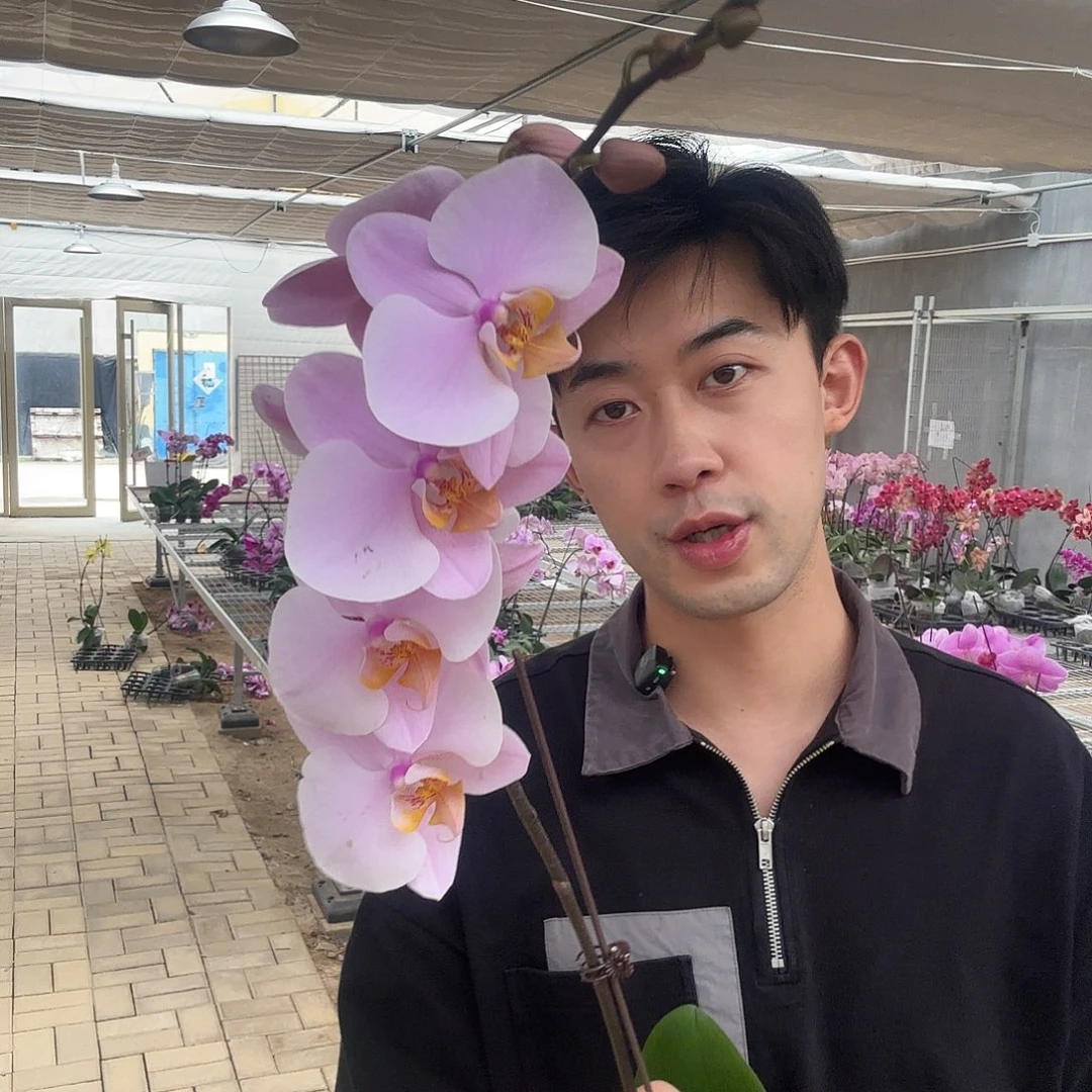 一***堂完全开放萨利纳斯