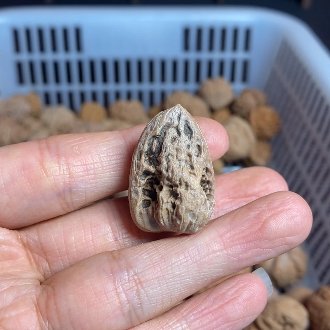 静***深文玩核桃把件文玩