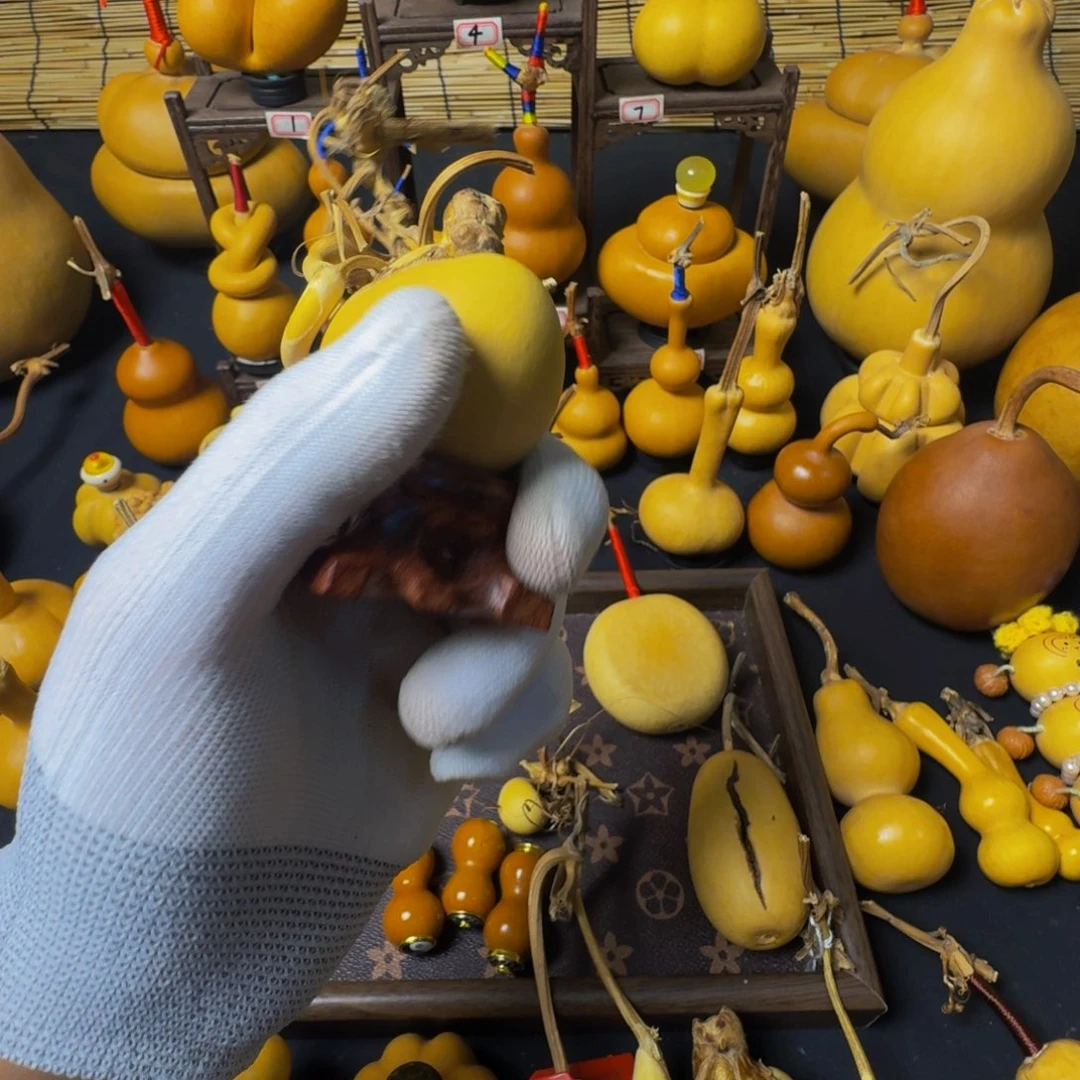 夏****腰子腰子腰子腰子