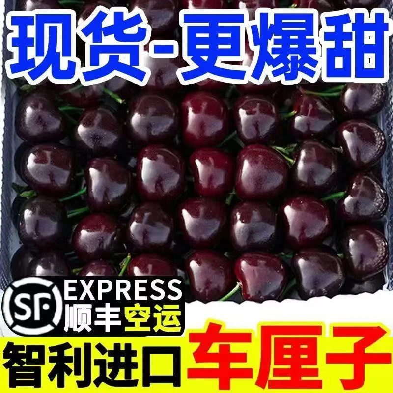 【顺丰包邮明日达】特价智利桑提娜车厘子3JD2.5KG