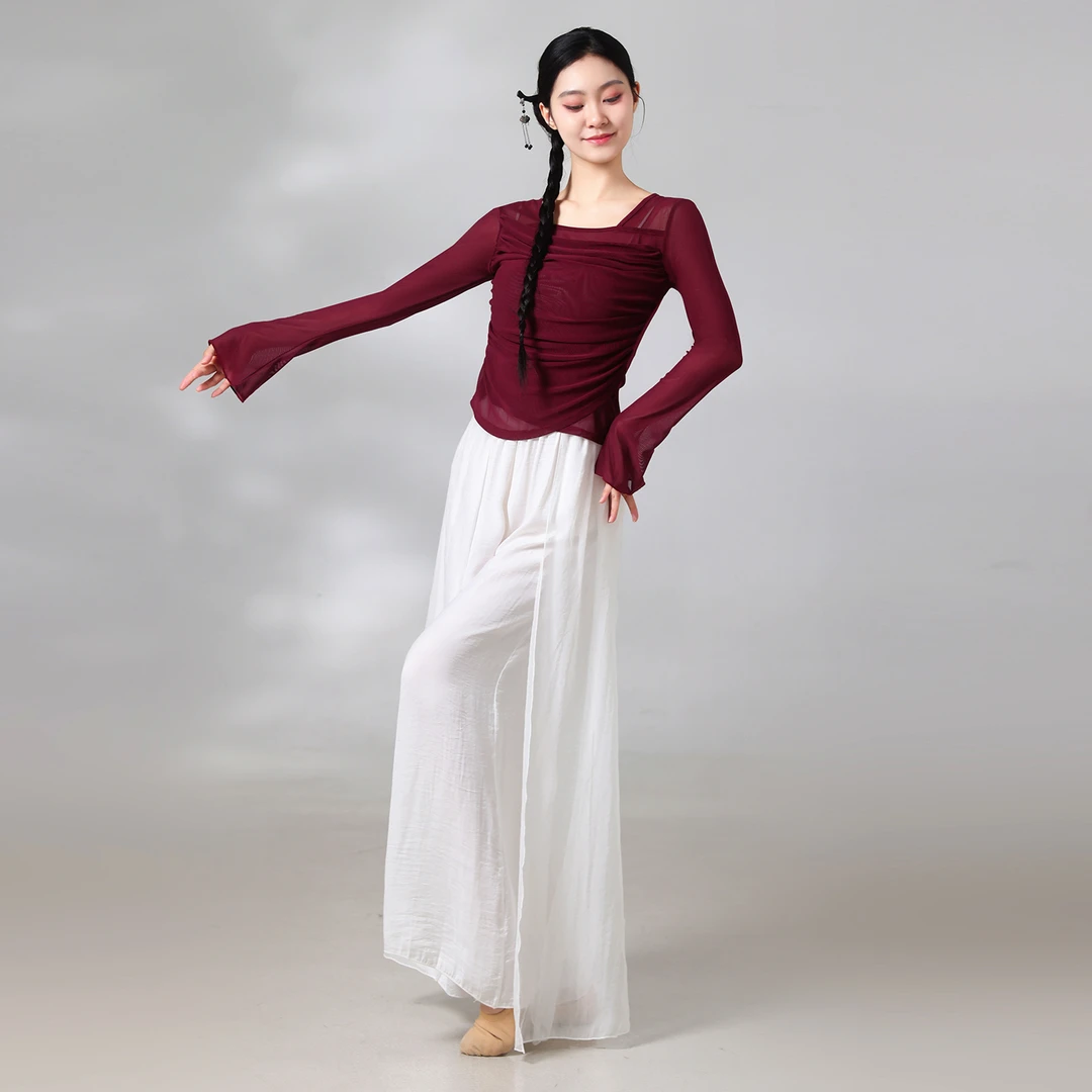 古典舞练功服女显瘦身韵纱衣普拉提喇叭袖褶皱长袖中国民族舞蹈服