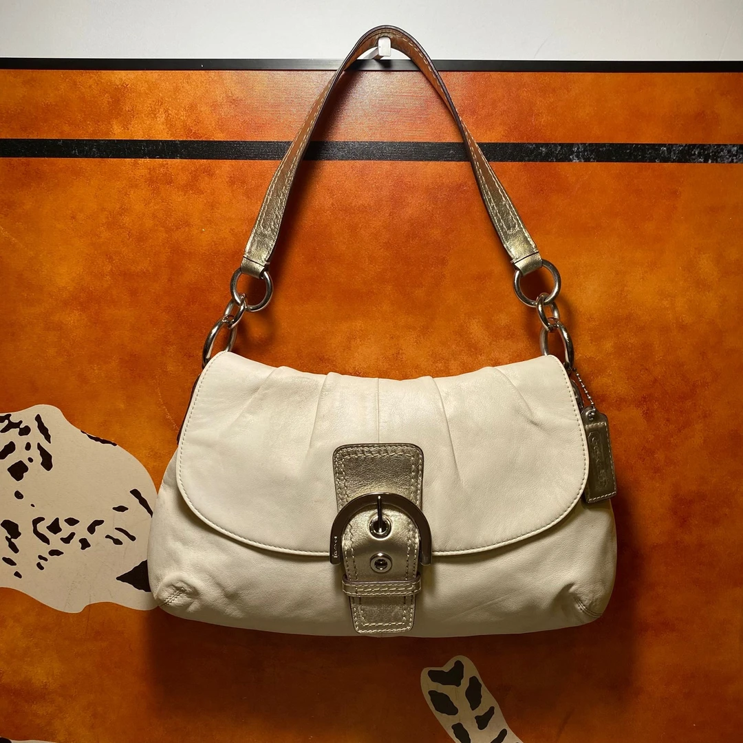 95新 COACH/蔻驰 16663单肩包