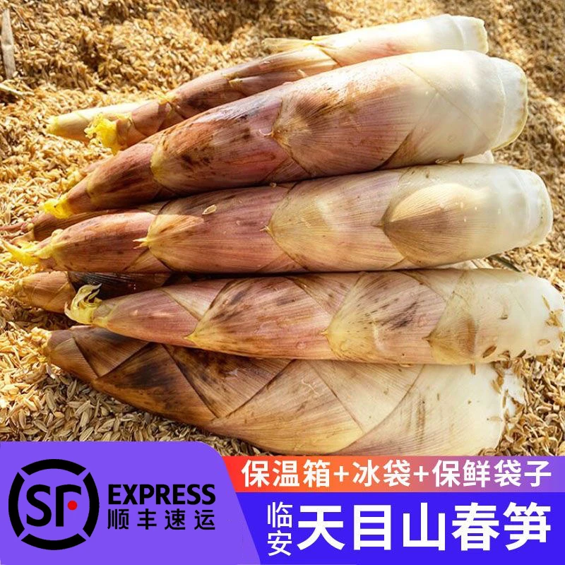临安雷笋新鲜春笋冬笋浙江天目山腌笃鲜嫩笋尖竹笋3斤5斤