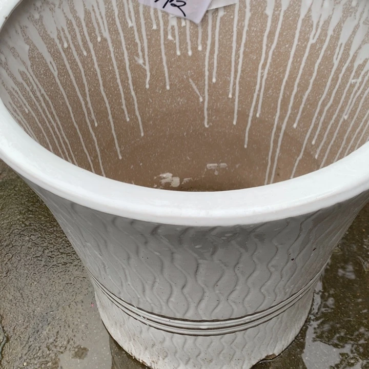 花盆里的小猫咪们都好可爱啊哈哈哈哈哈