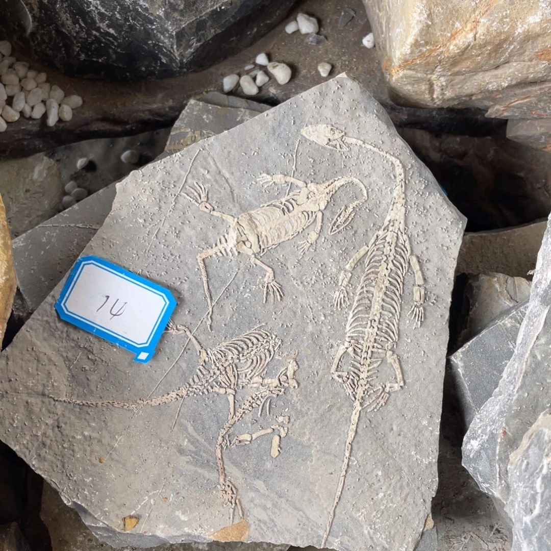 石材14444444444444444444