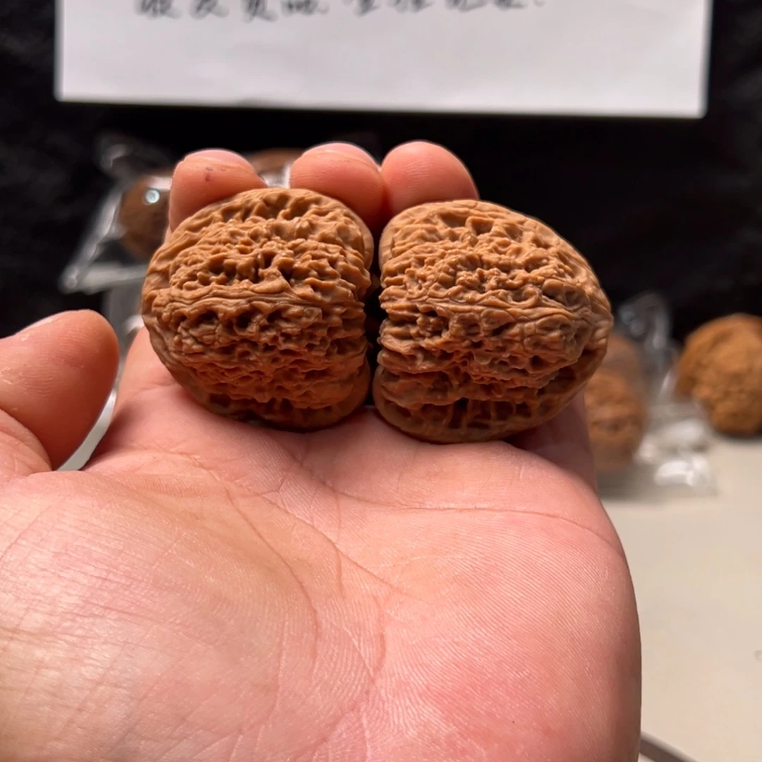 菩提籽类南疆42三角