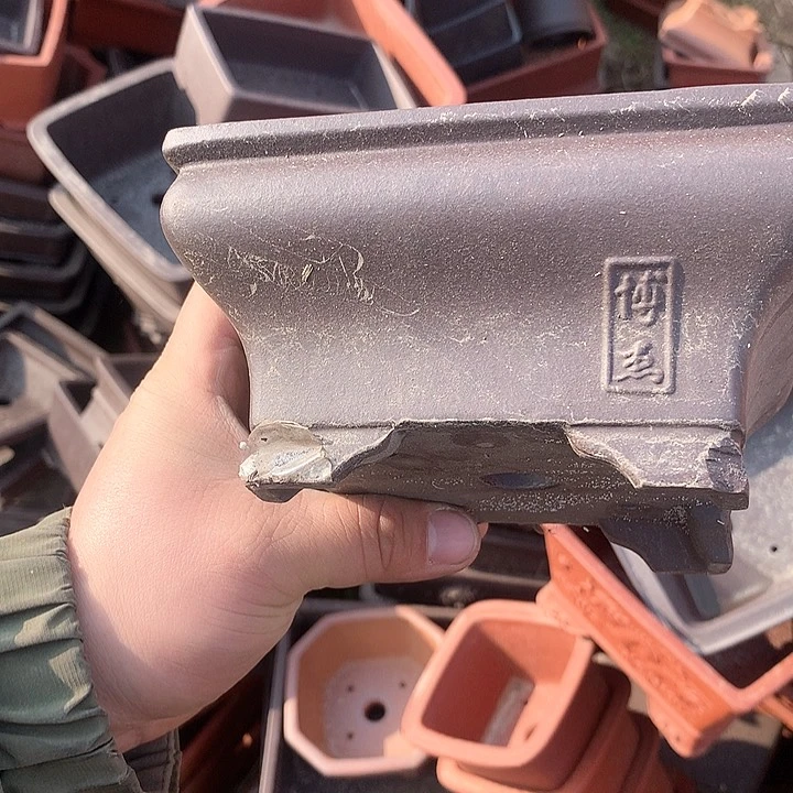 紫砂我要努力赚钱给你们一