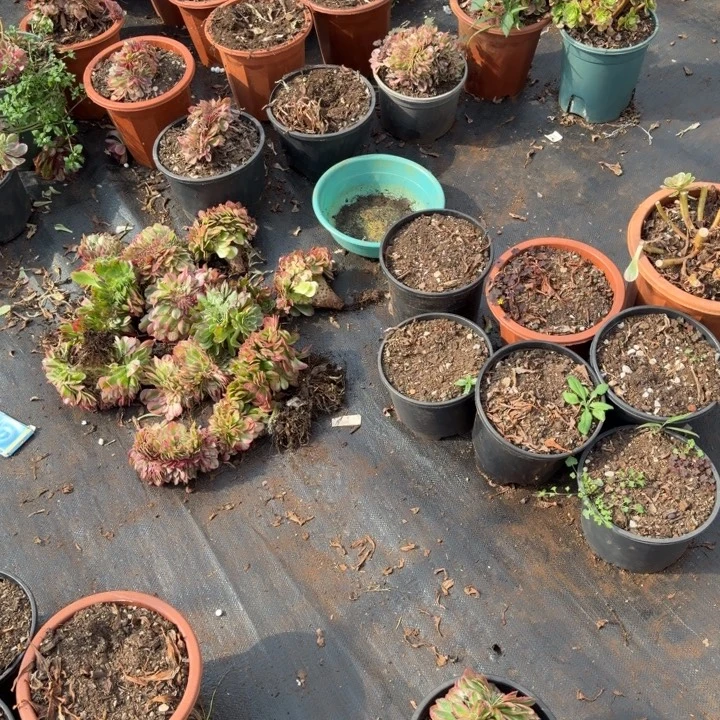 保温保温保温保温