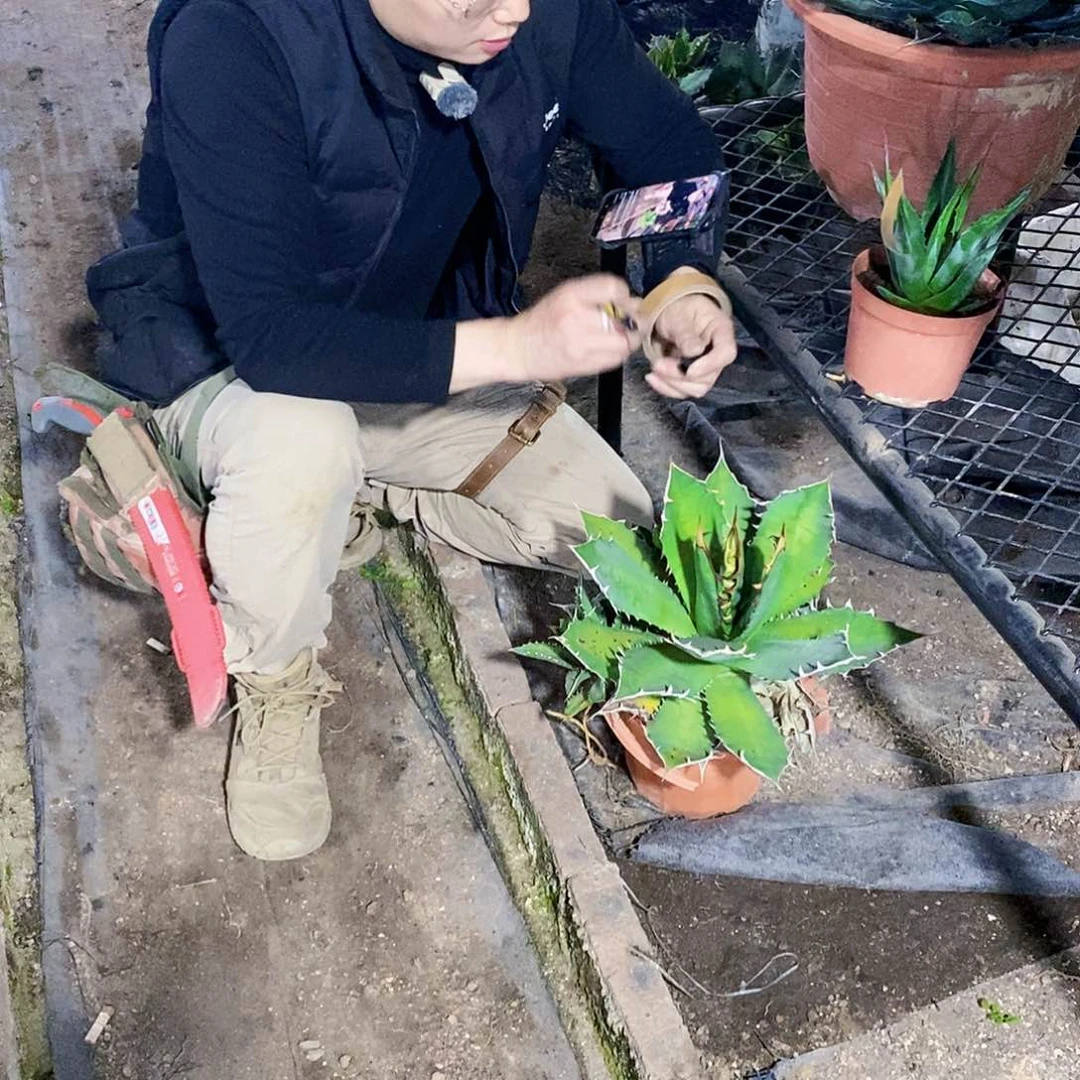 D***n蓝霸王一颗11111111