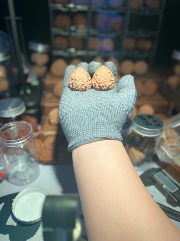 蛇王一抹红核桃手把件