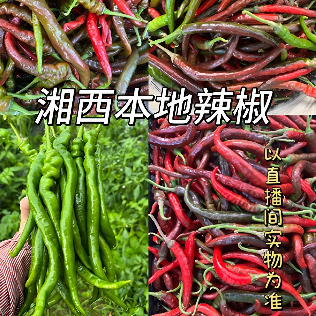 【顺丰快递】 湘西本地辣椒，辣香扑鼻炒肉一绝！