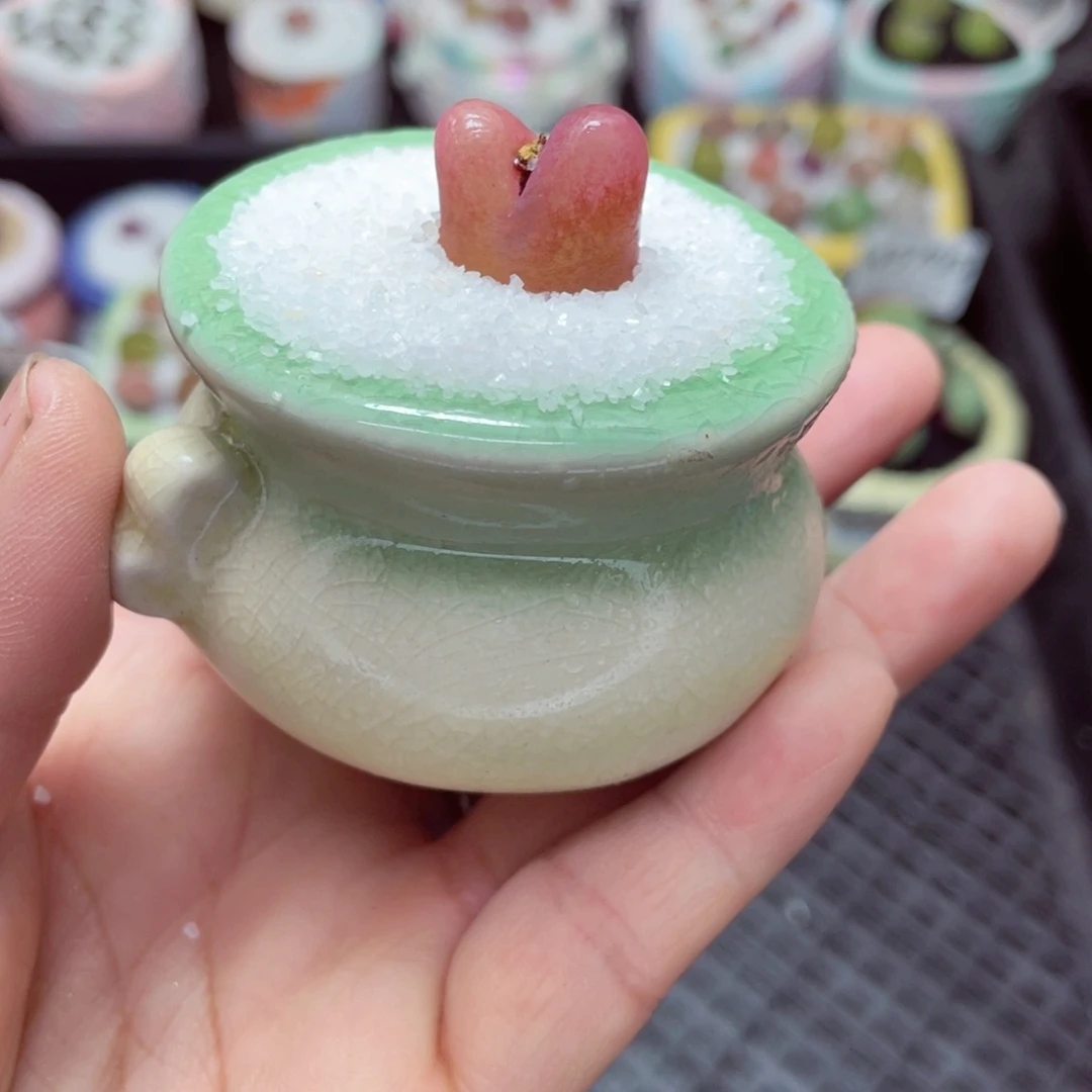 w5800 -零下地区拍保温箱-15支持寄养