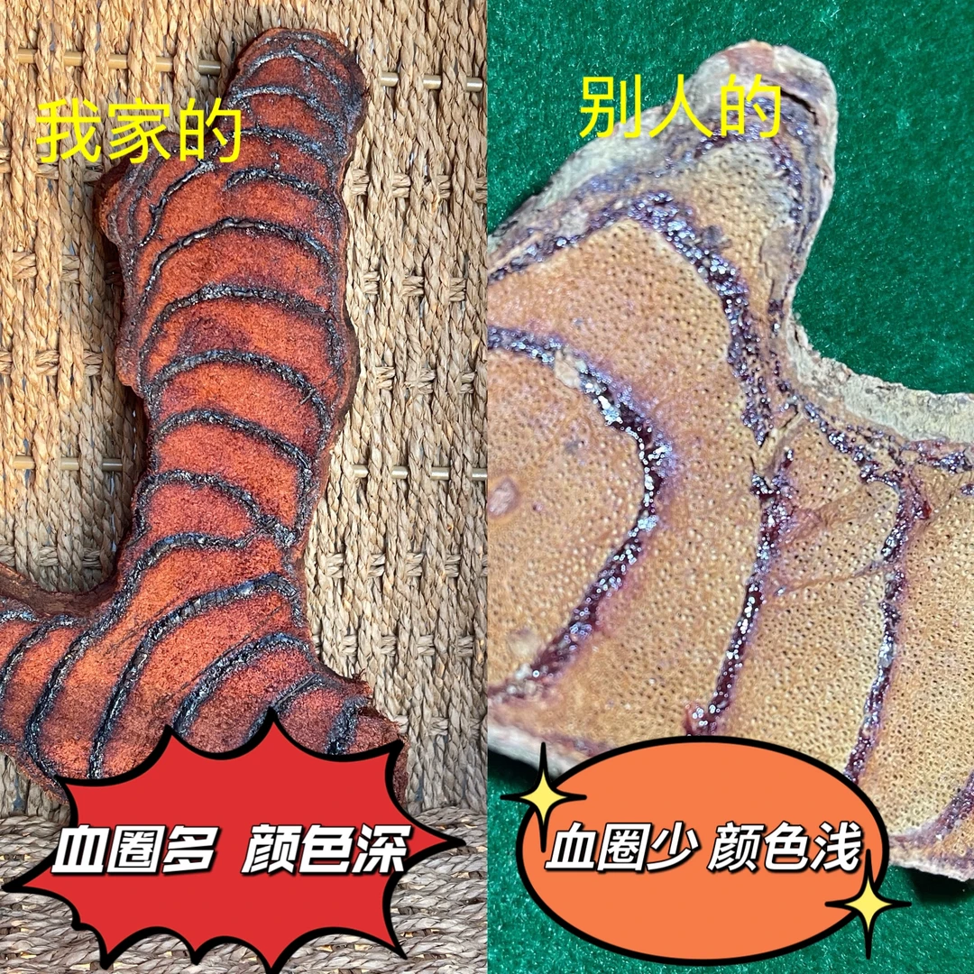 广西正宗深山挑选新货老藤自然凉晒无烟熏煮水煲汤泡茶泡酒鸡血藤