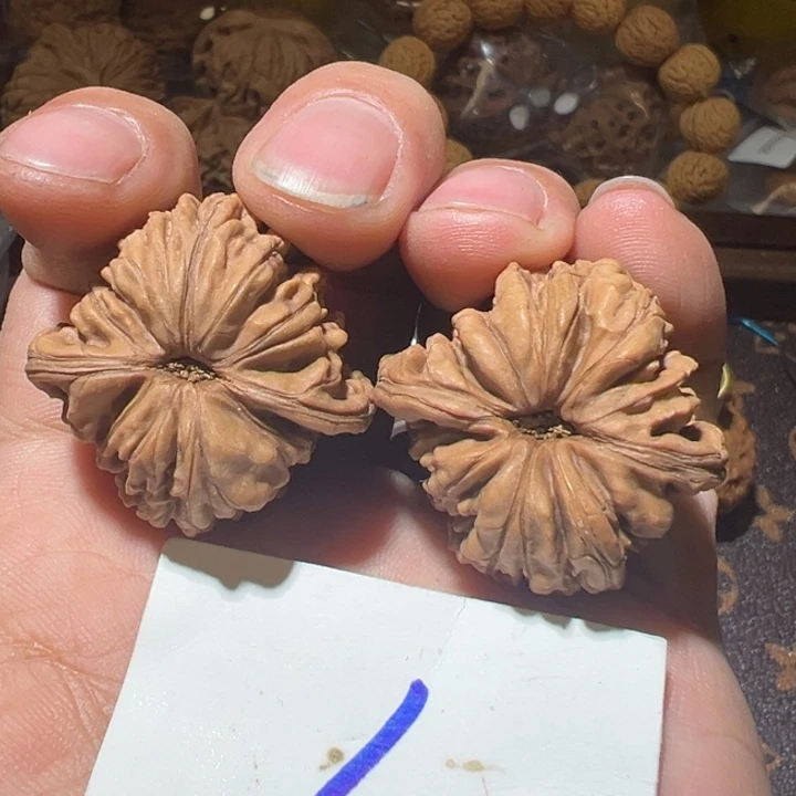 核桃全品无修蓟县四座楼