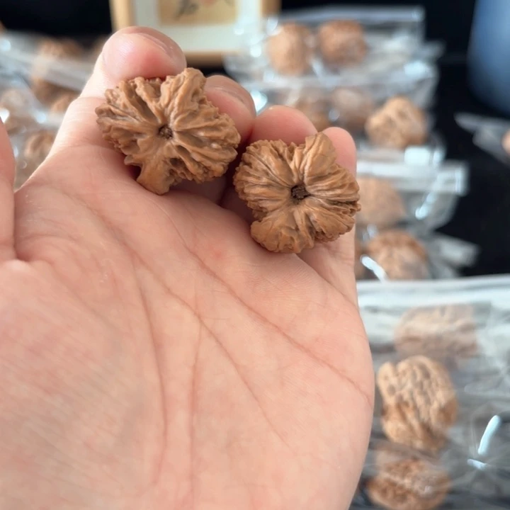 文玩核桃吊坠果***果南将