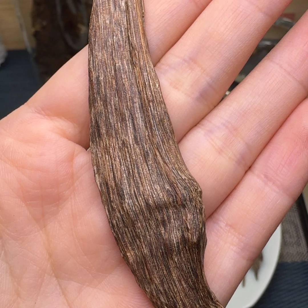 香榧木海南大山树心3.7克