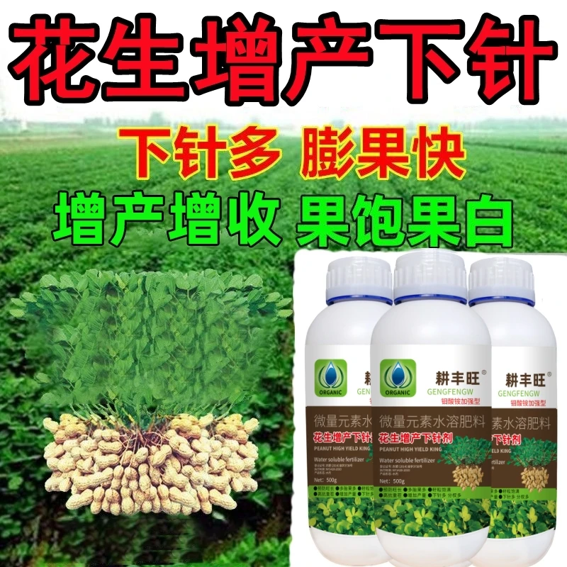 花生增产膨大素分杈多下针多窝窝多花生高产花生粒粒宝抗病花生肥