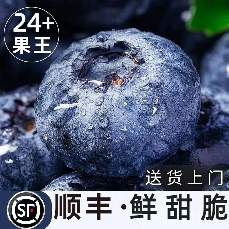 【顺丰空运】SX2蓝莓新鲜大蓝莓云南澄江抚仙湖怡颗莓宝宝蓝莓鲜果