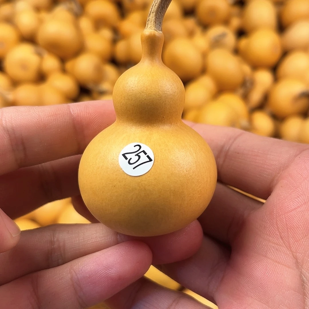二葫芦葫芦葫芦葫芦257