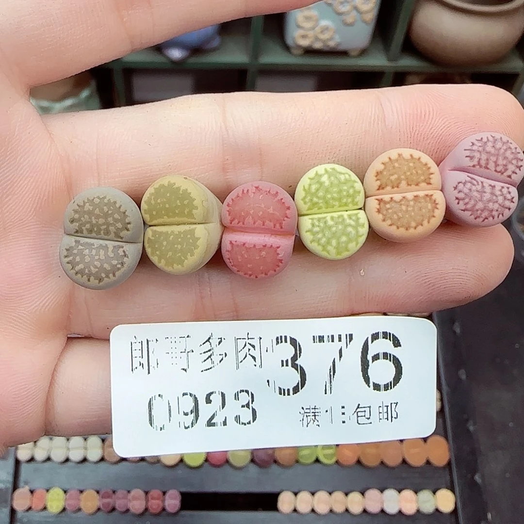 徐***欢满满18包邮0923-376