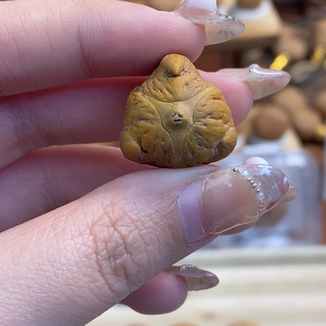 凤眼菩提吊坠异型龙眼二茬籽