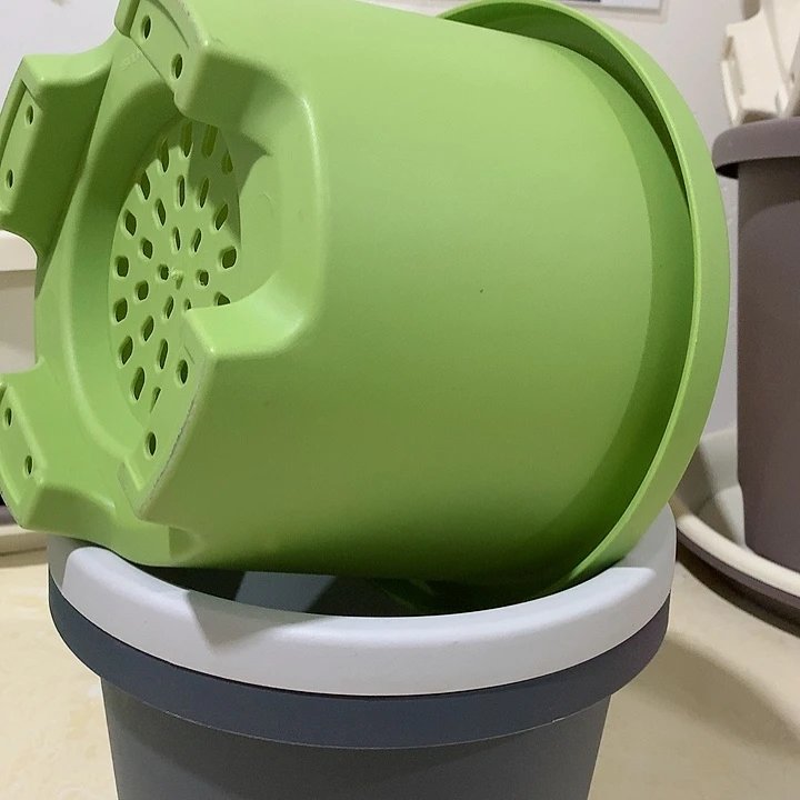 球根口21果绿5个无托