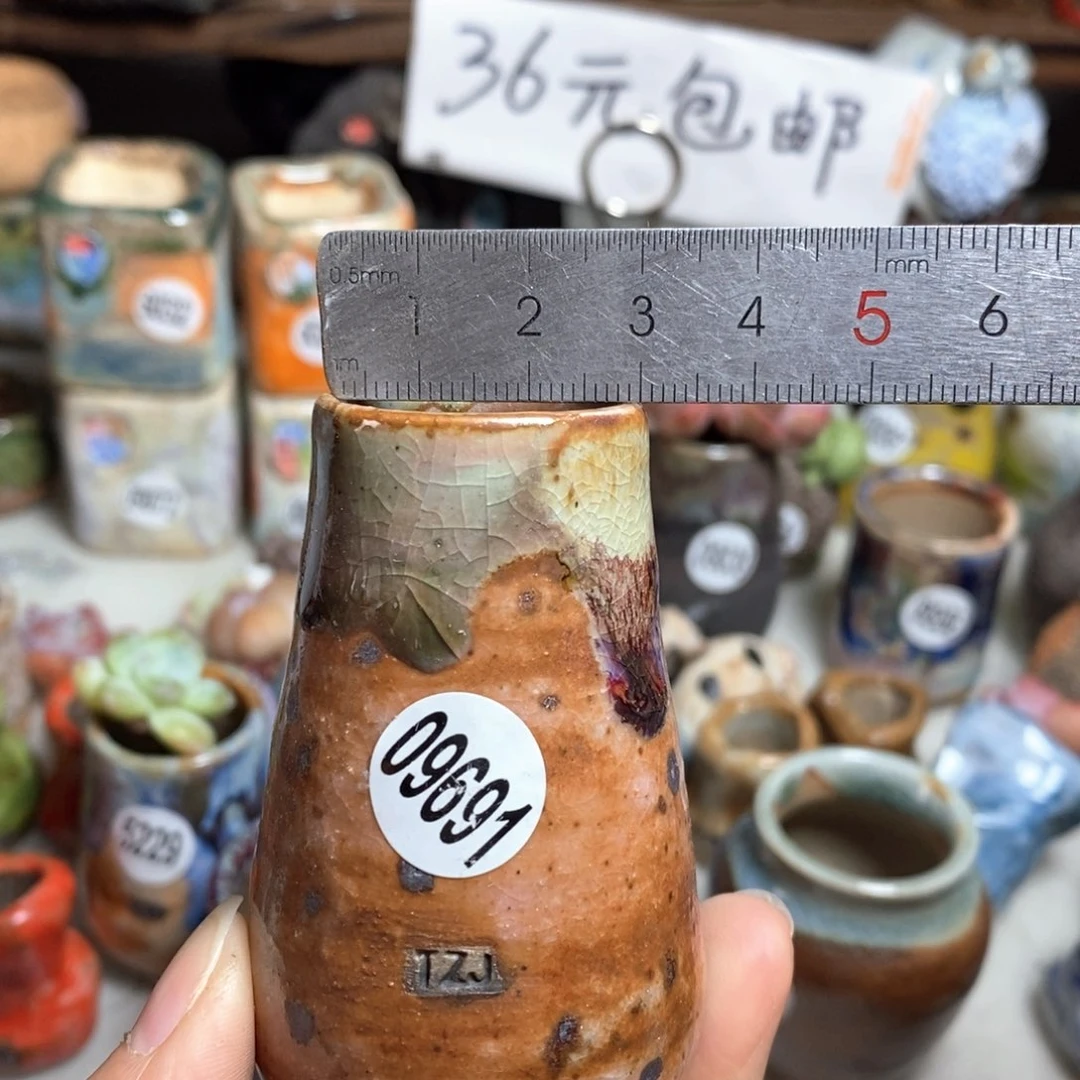 花盆拍5送一个小礼物