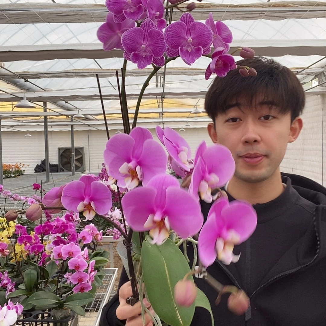 完全开放安娜➕双剑