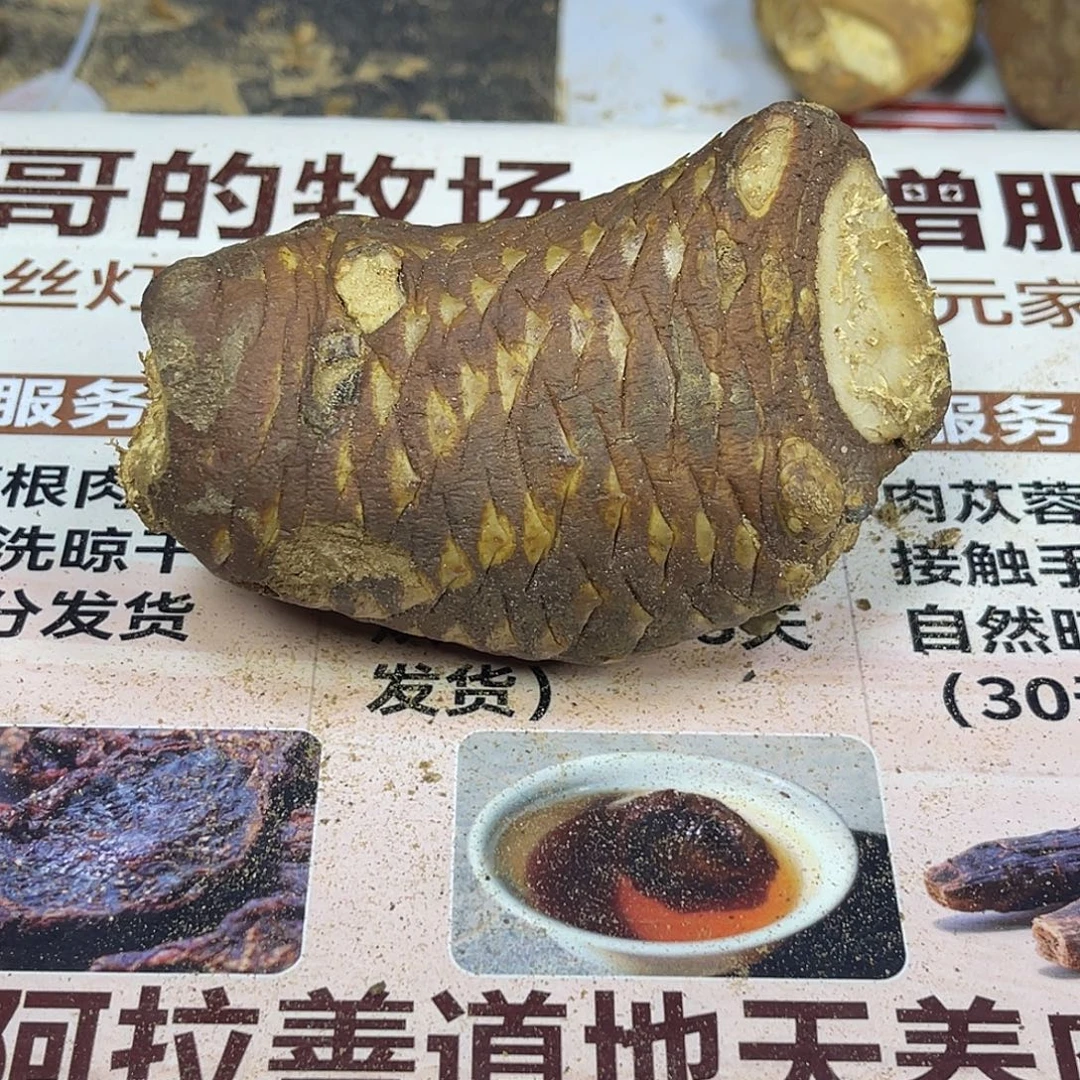 中国大陆350克老根