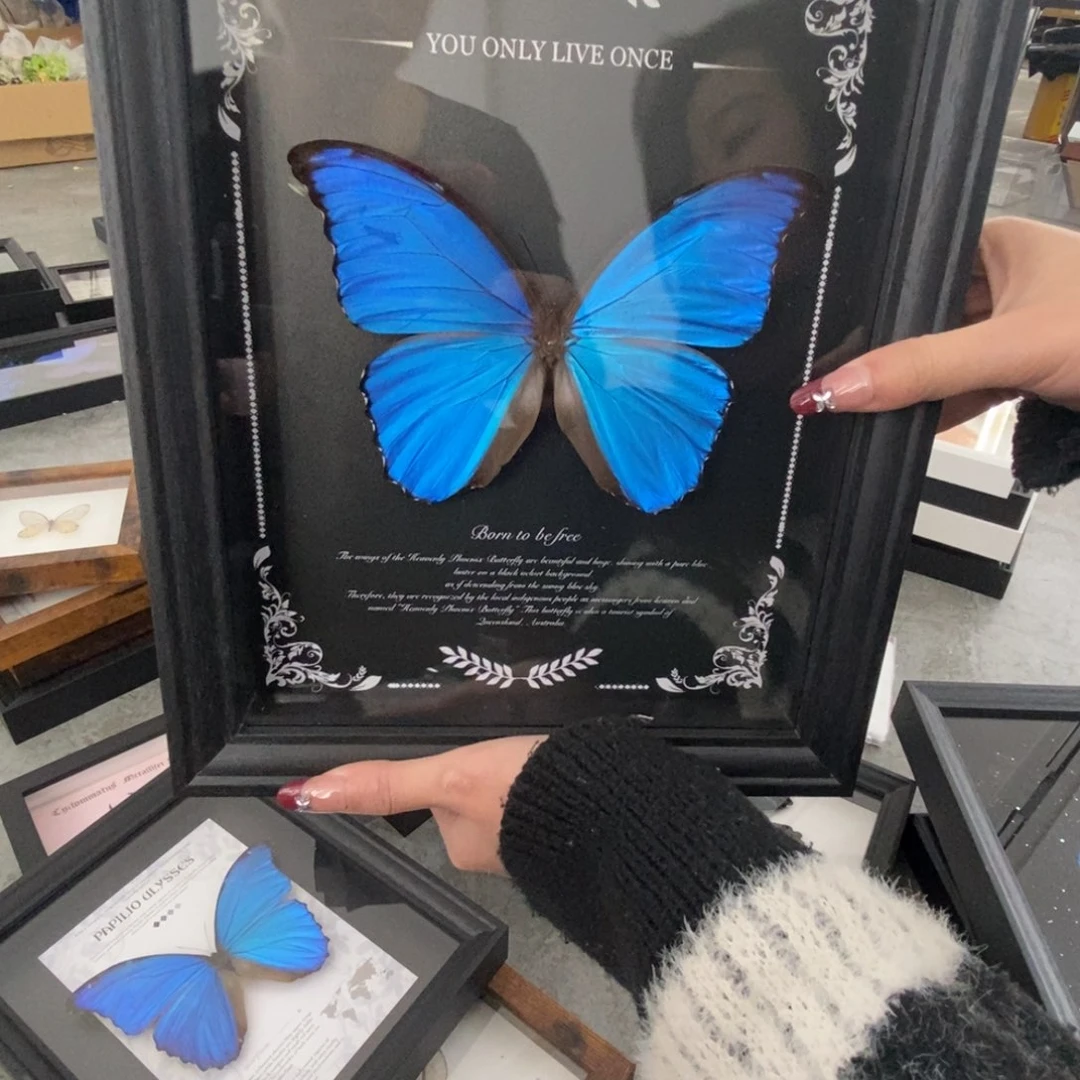 双层款铝合金11111111