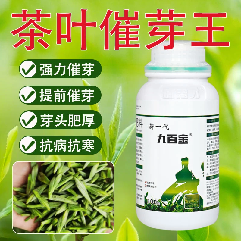 【一瓶包邮】九百金茶叶催芽专用壮芽头肥厚芽多催芽宝喷雾型水溶肥