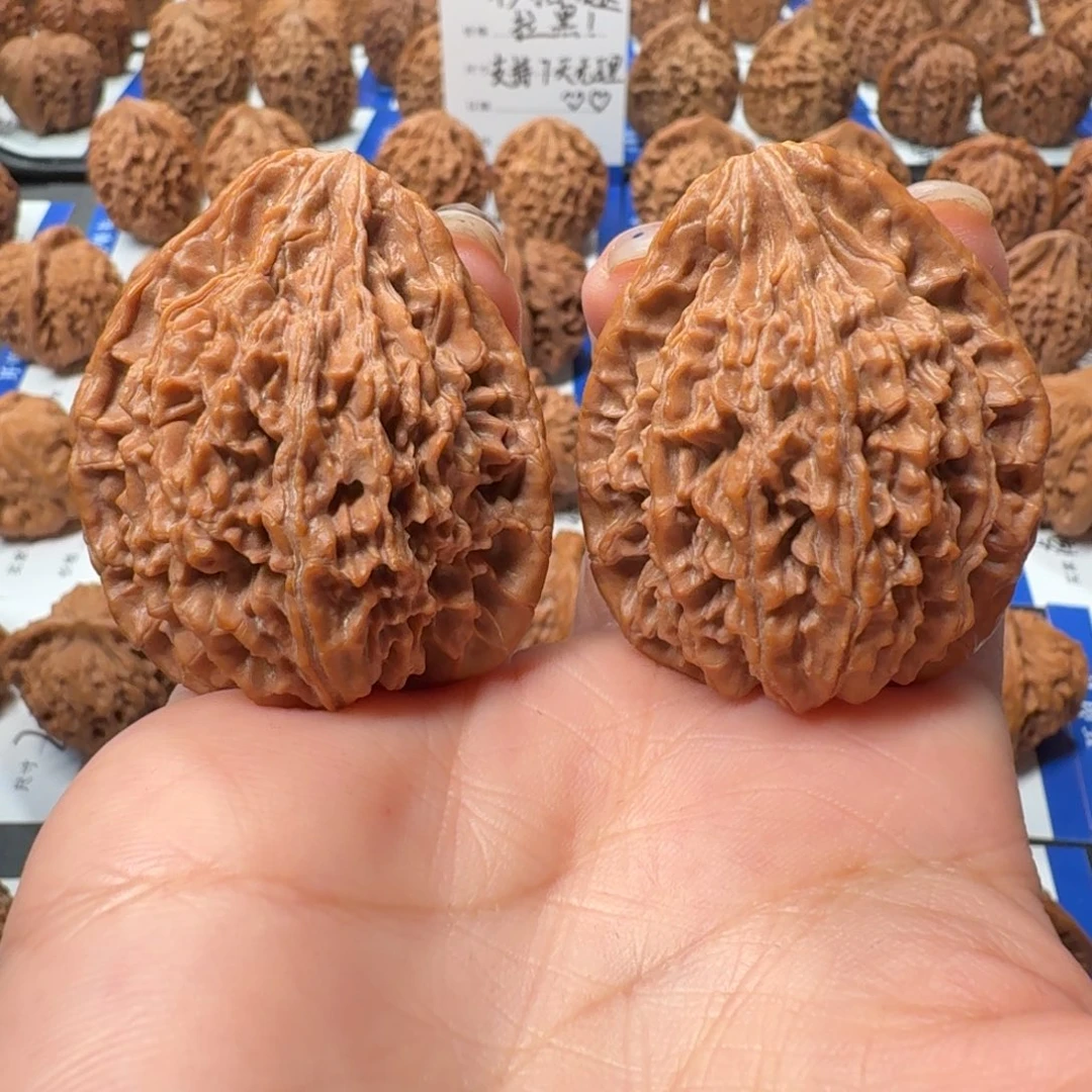 核桃180号 3.9尺秦岭火凤鸡心