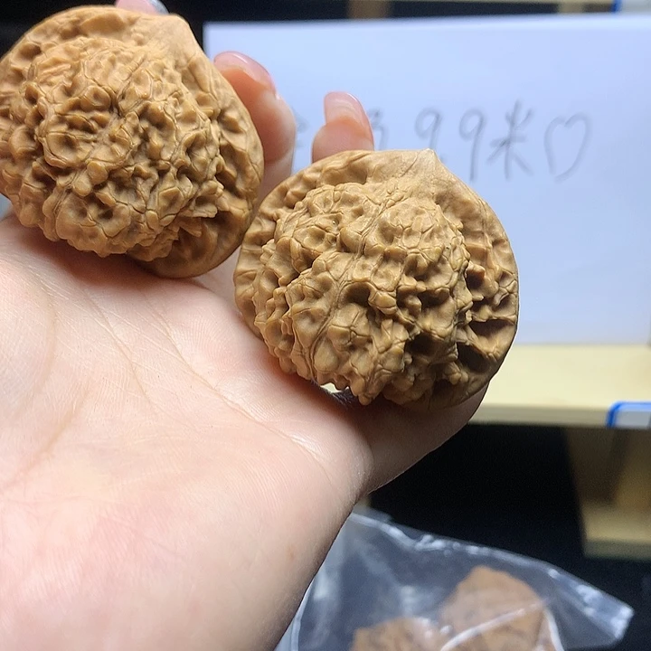 —***年22222222222222226