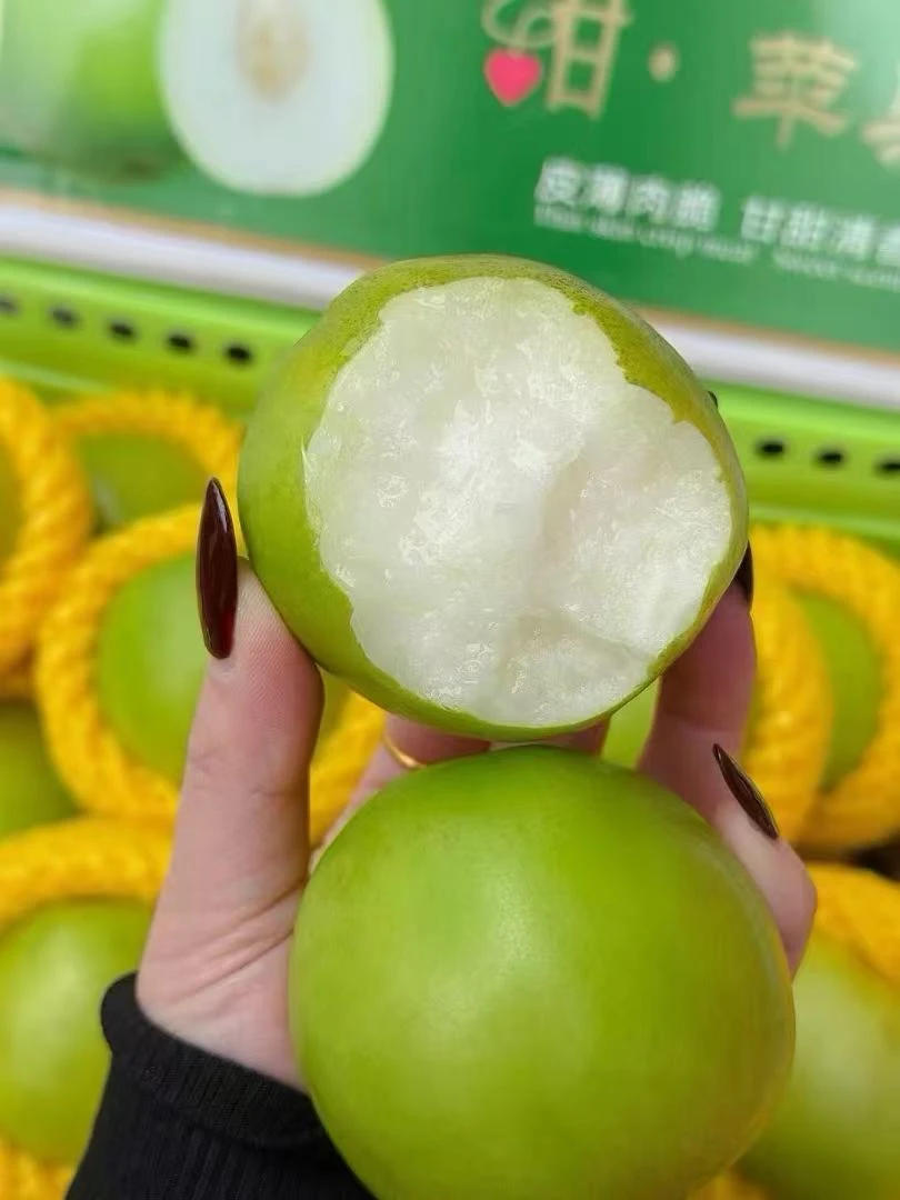 苹果枣皮薄多汁果肉细腻脆甜当季限定3斤，5斤，9斤