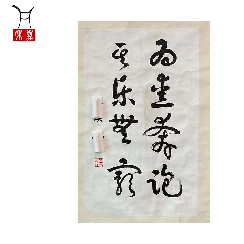 D1013莫先生Y书法软片69x45/2.8平尺