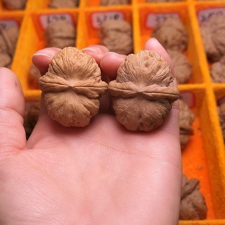 葫芦涞水山地果元宝全品