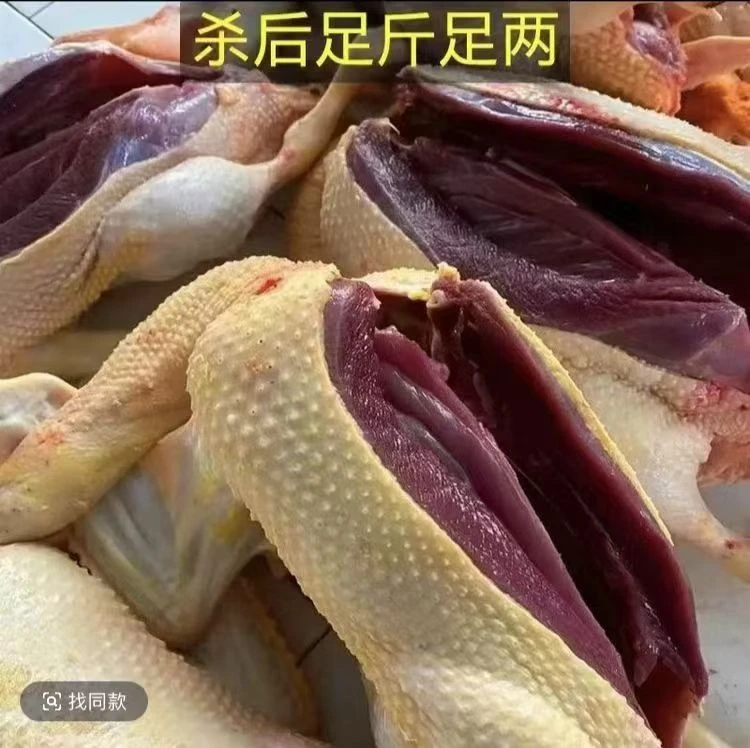 (精选4只)自然生长土麻鸭五谷喂养新鲜宰杀京东顺丰 无翅掌