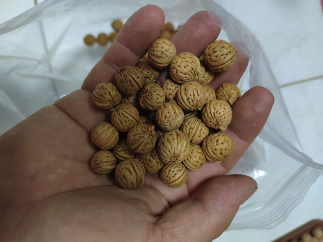 今年矮桩精品脑纹桃核