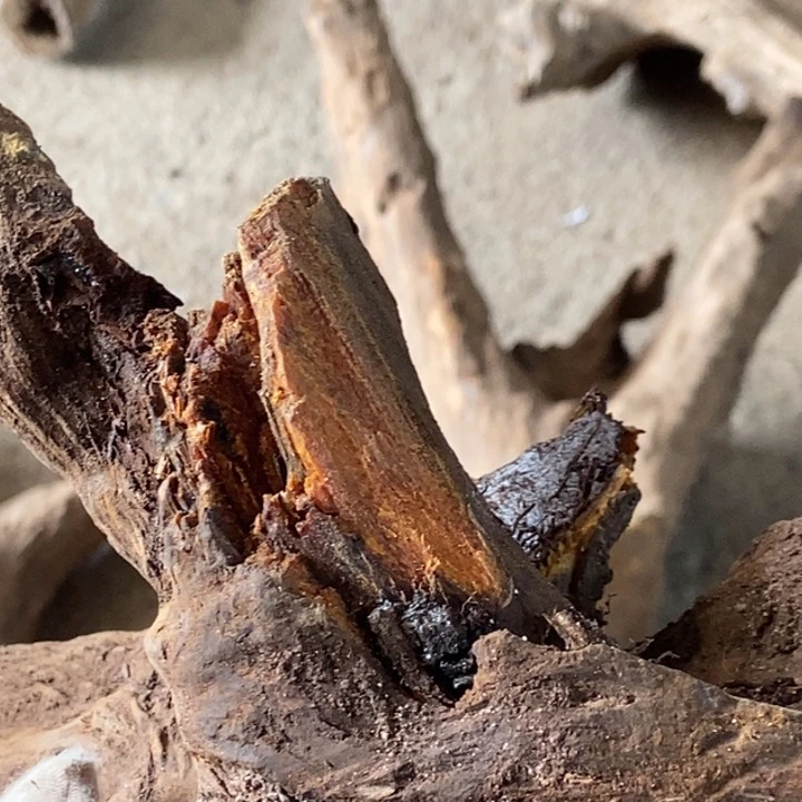 贡木手串阿****0定制不退不换