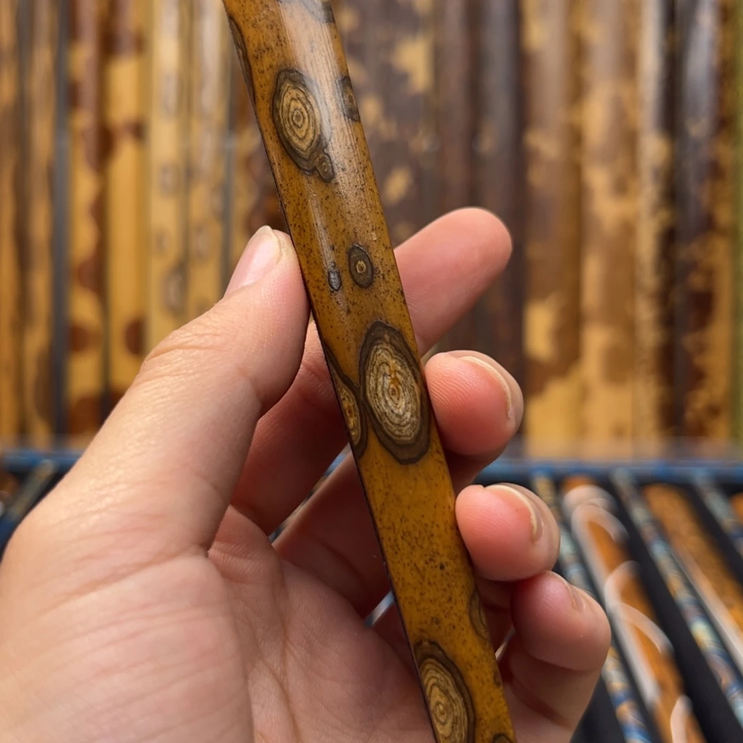 张***轮扇子扇子扇子扇子扇子