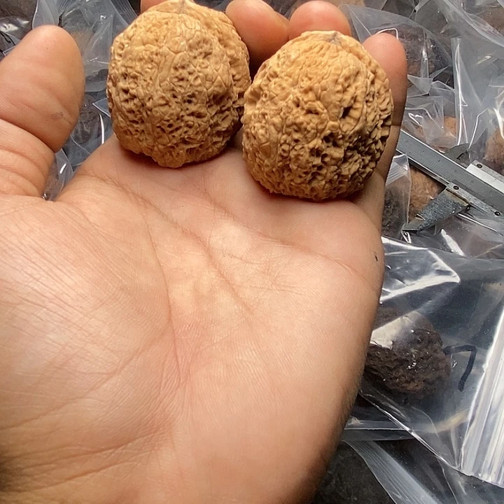 把件文玩核桃   35