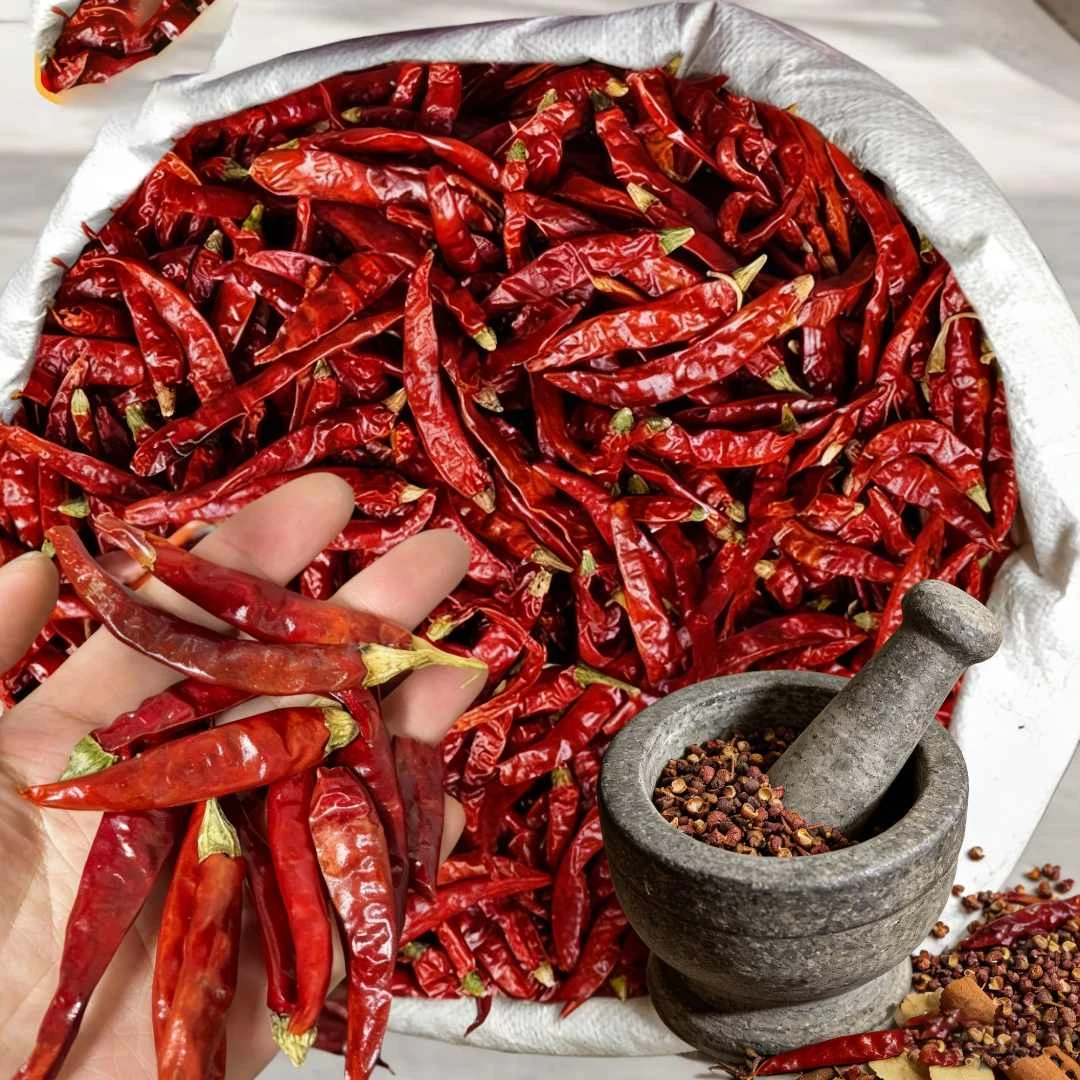 干辣椒贵州农家自种饱满中辣特香干花溪辣椒采摘农产品美味