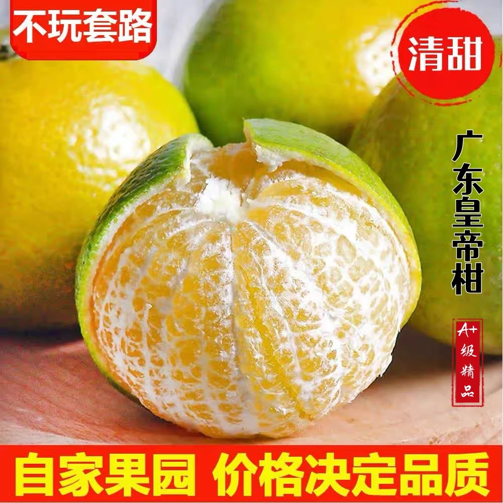 继润生广东本地皇帝柑 新鲜采摘薄皮肉厚 清甜汁多 5斤 10斤 包邮