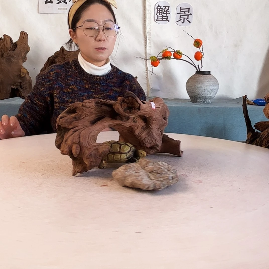 沉木造景爬宠造景