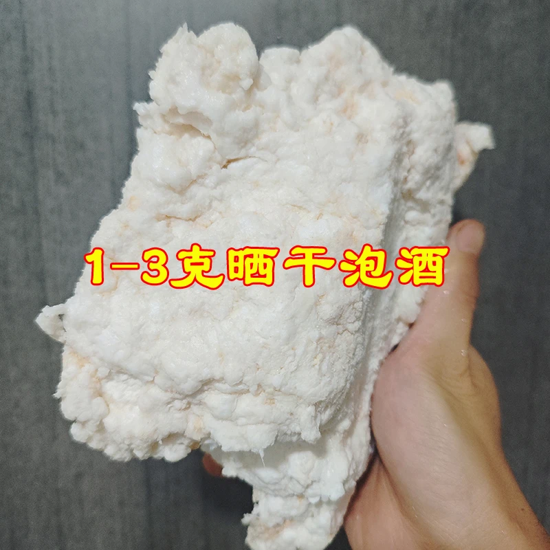 二店{1-3克晒干石太岁}收藏品摆件
