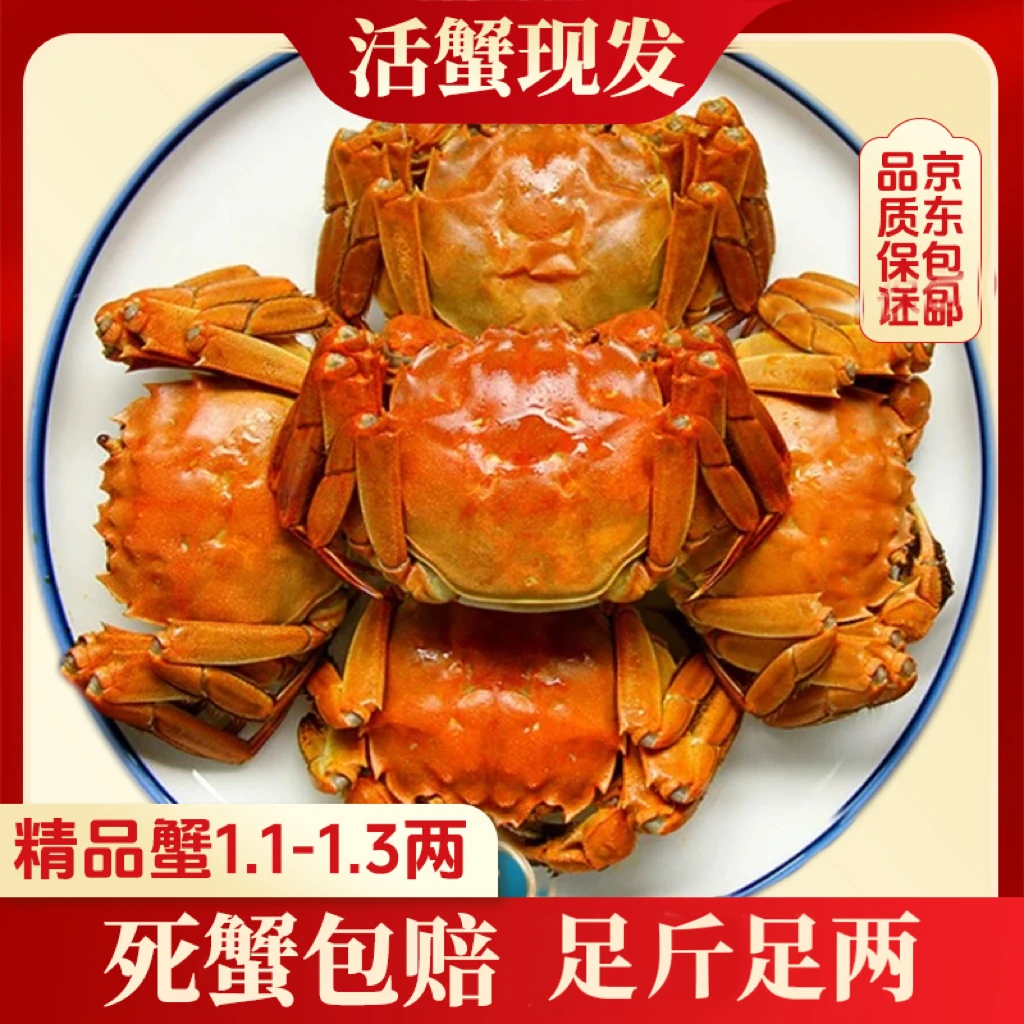【活蟹现货】江苏鲜活河蟹公母混发1.1-1.3两/只 买10只送10只到手20只