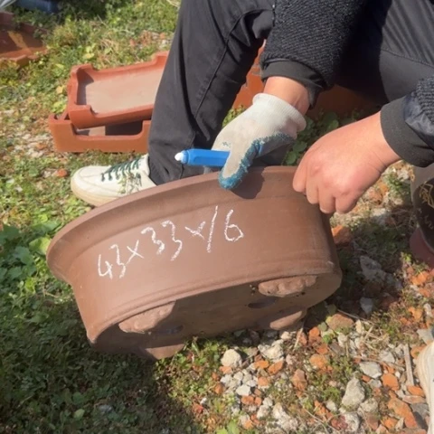 紫砂花盆紫砂花盆盆景盆栽