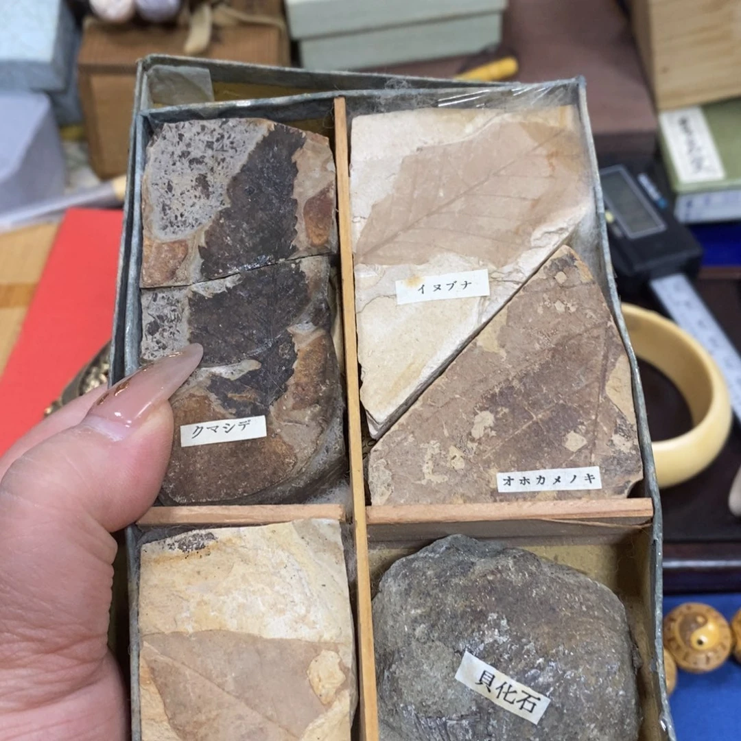 瓷瓷瓷瓷瓷瓷瓷瓷瓷