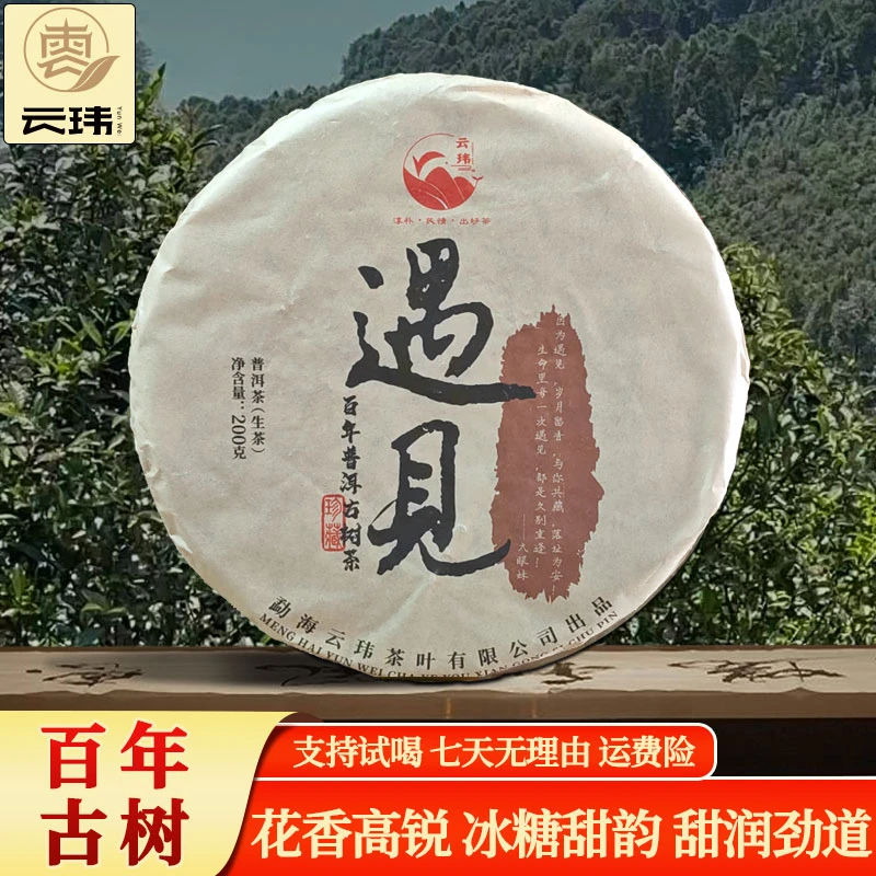 云玮2023遇见私藏级古树纯料普洱茶生茶200g饼茶【稀缺好茶福利】